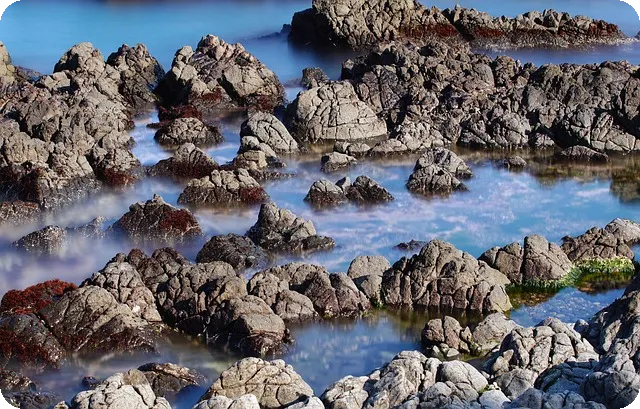 무릎 통증 원인과 관리법은?