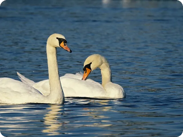 급성 장염 증상과 대처법은 무엇일까