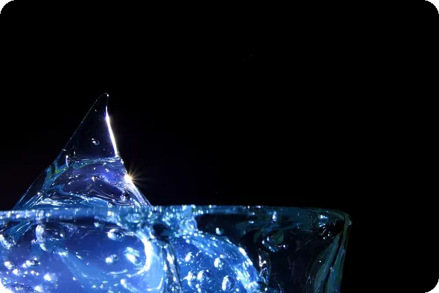 팔 근력운동으로 탄탄한 팔 만들기