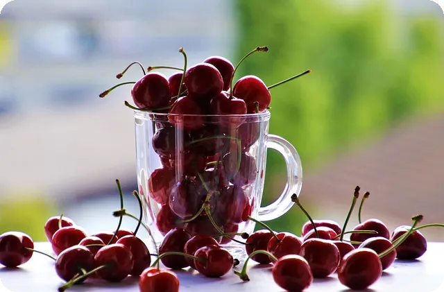 풀리오 어깨 마사지기 V2 사용기와 AS 후기