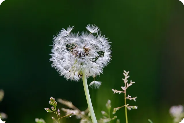 효과적인 하체 근력운동으로 건강해지기