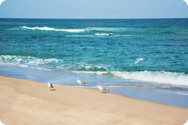 운동 중 수분 섭취 왜 중요할까