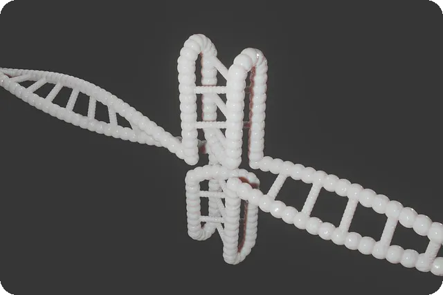 치매 초기증상 알아보기 꼭 알아야 할 8가지