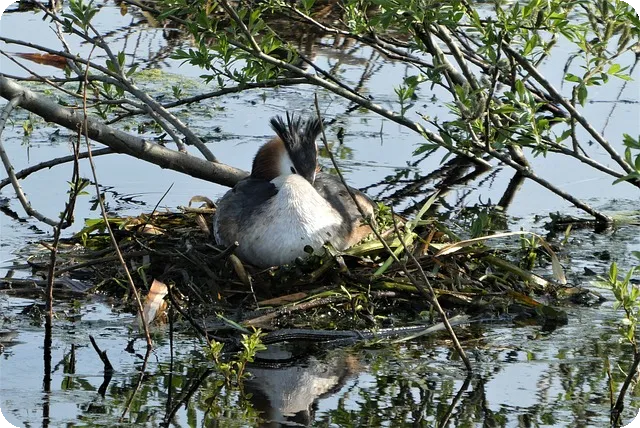 치매 초기증상 알아보기 꼭 알아야 할 8가지