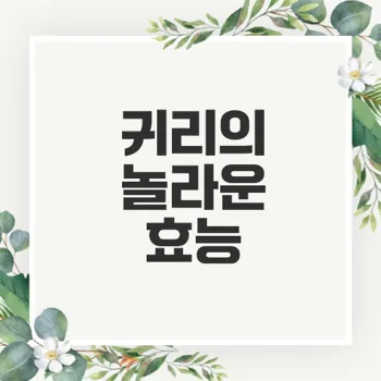 귀리 효능과 건강 개선 방법은