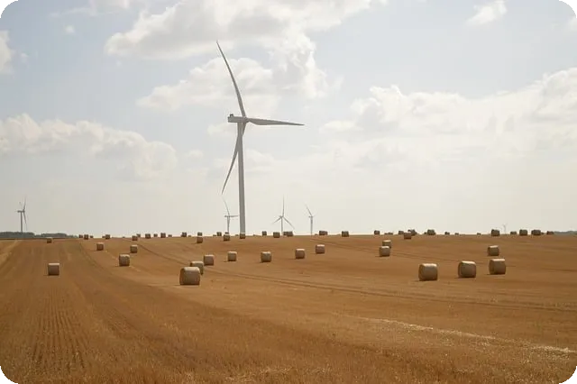 갱년기 증상 완화에 운동이 도움이 될까