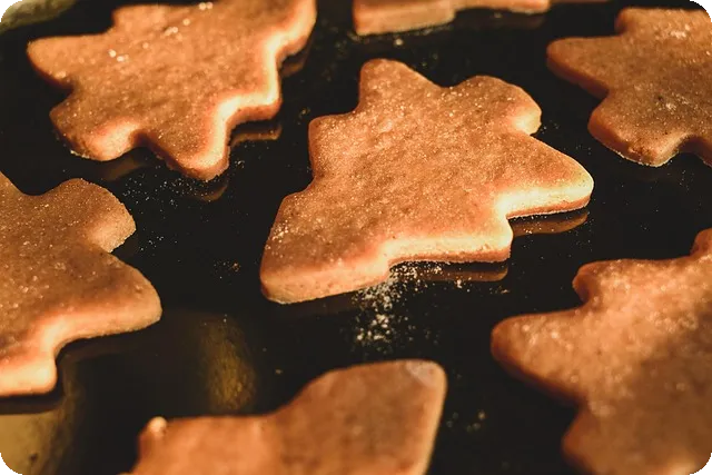 2025 홈트레이닝 가이드 이제 어떻게 시작할까