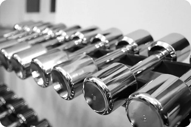 내장 지방 효과적으로 태우는 운동은?